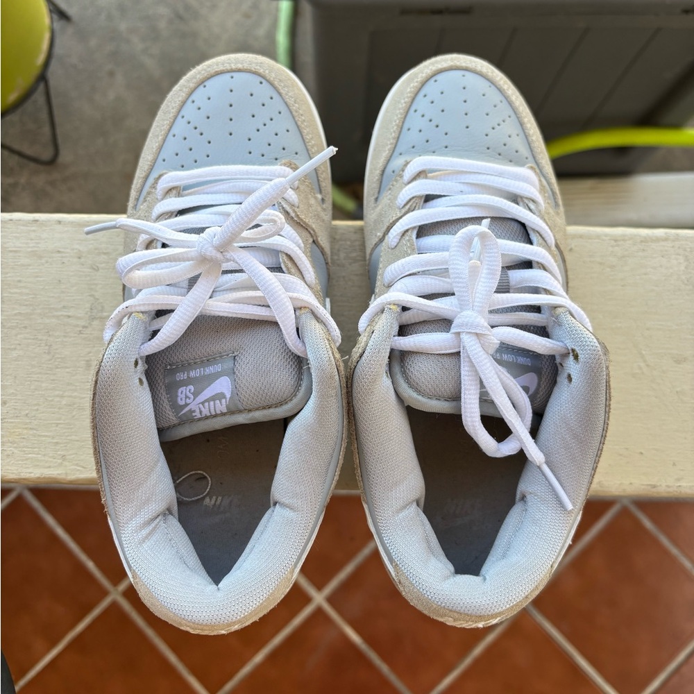 Nike Dunk Low Pro